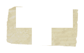 Ergebnisse 2013